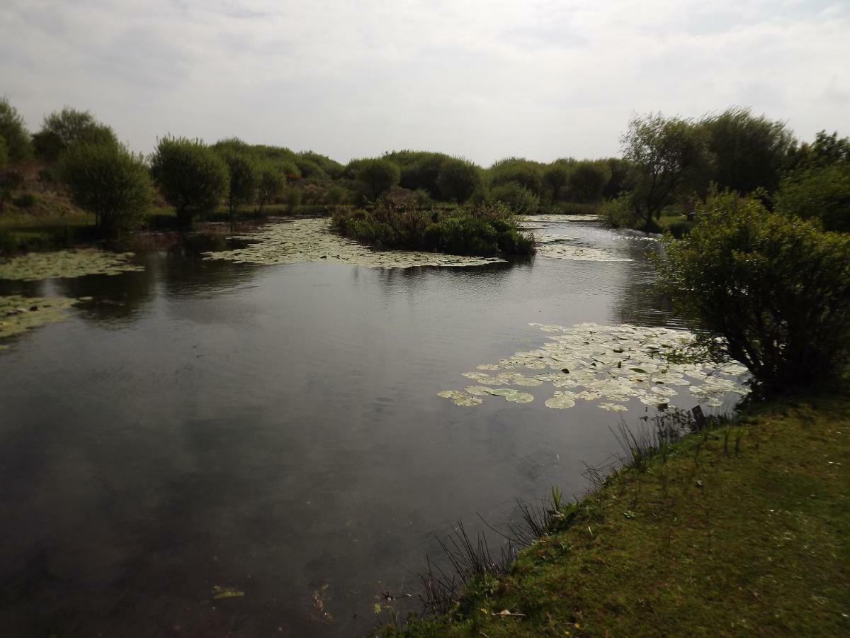 Villa Marsh Water Ponds Fishery Kidwelly Exterior foto