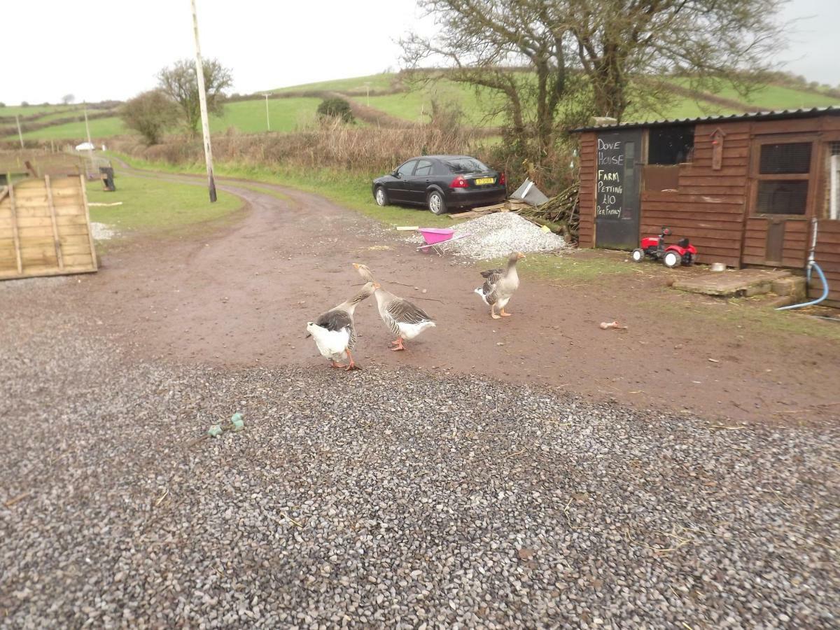 Villa Marsh Water Ponds Fishery Kidwelly Exterior foto