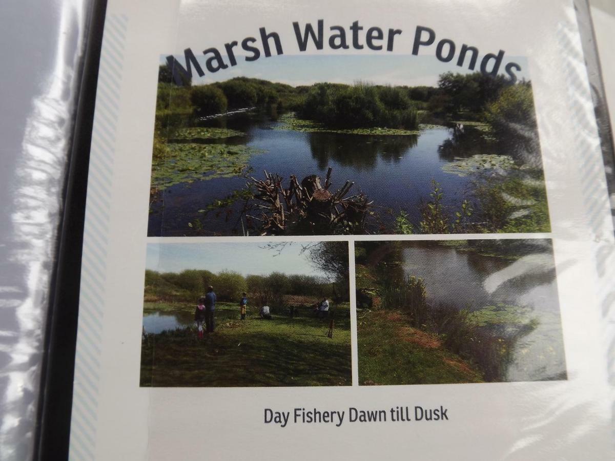 Villa Marsh Water Ponds Fishery Kidwelly Exterior foto